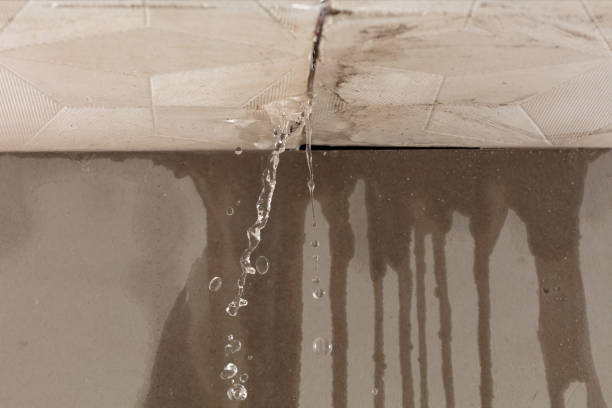 Professional Sewage Cleanup technician working in Maeystown, IL